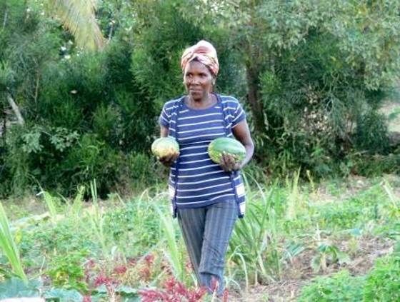 Récolte de légumes et fruits